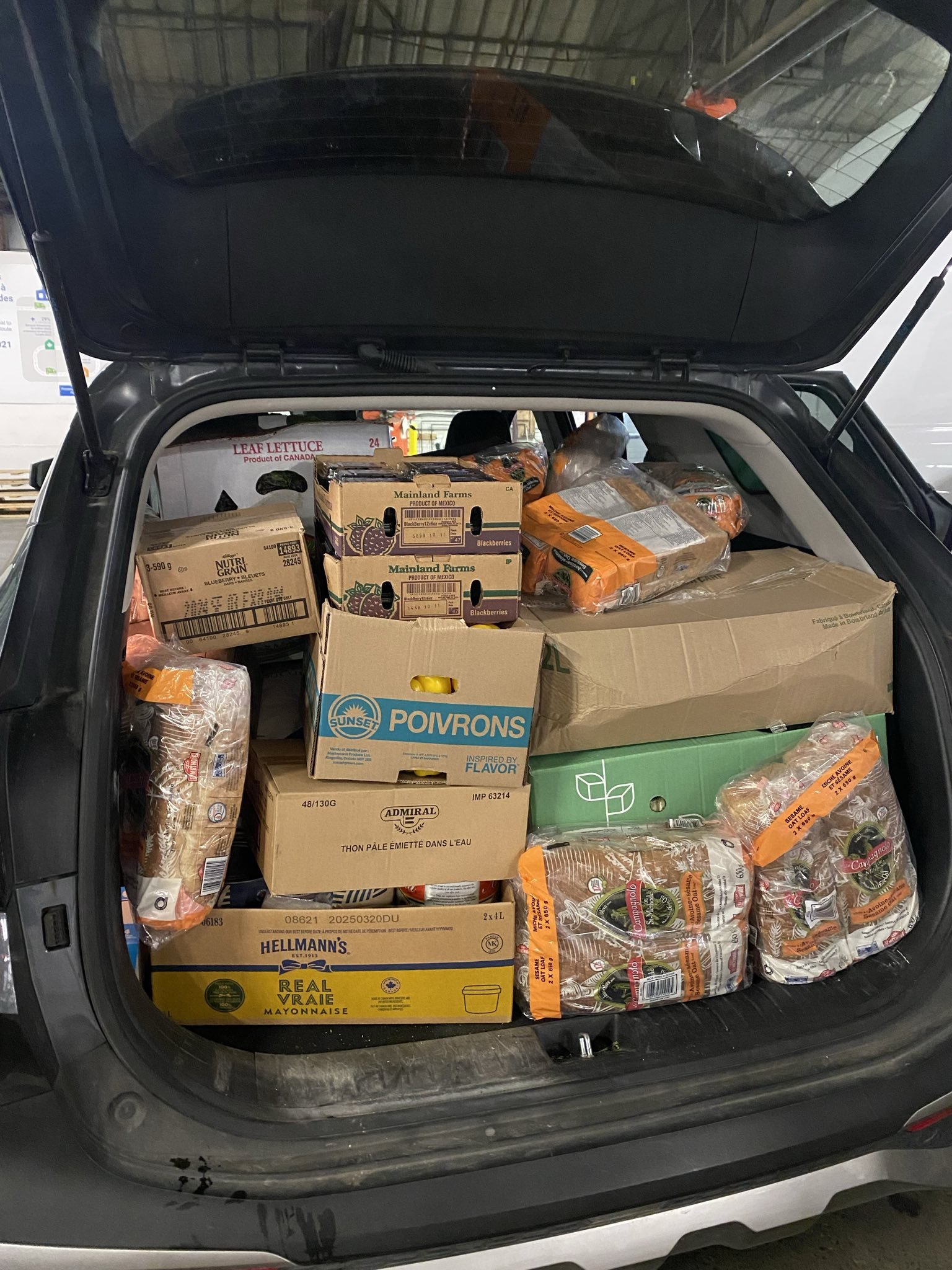 car trunk full of groceries